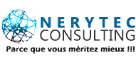 NERYTEC Consulting Logo