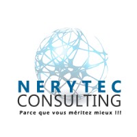 NERYTEC Consulting Logo